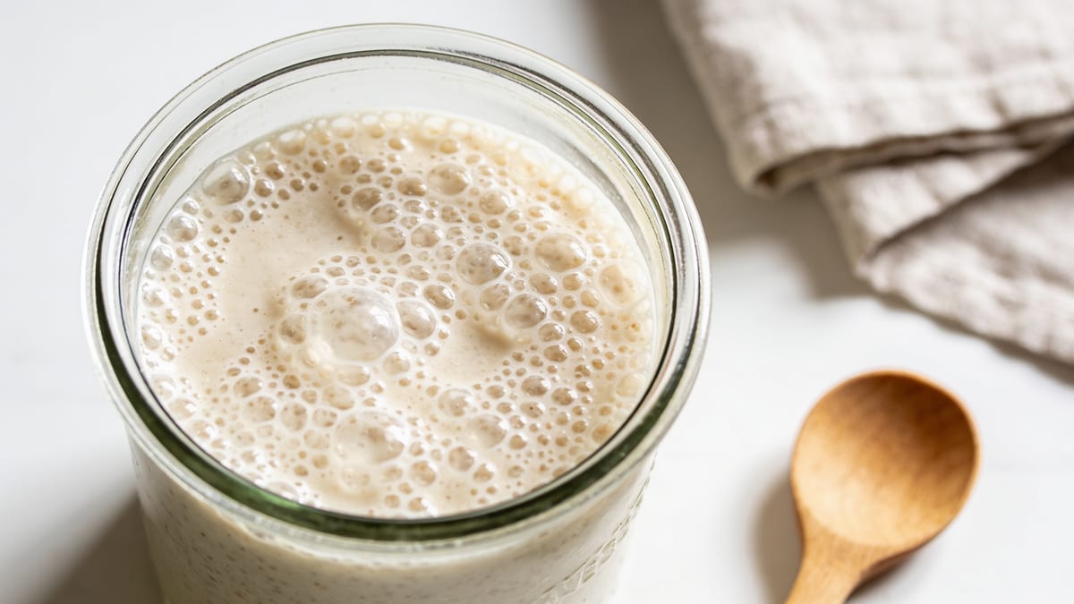 Sourdough Starter · American bread